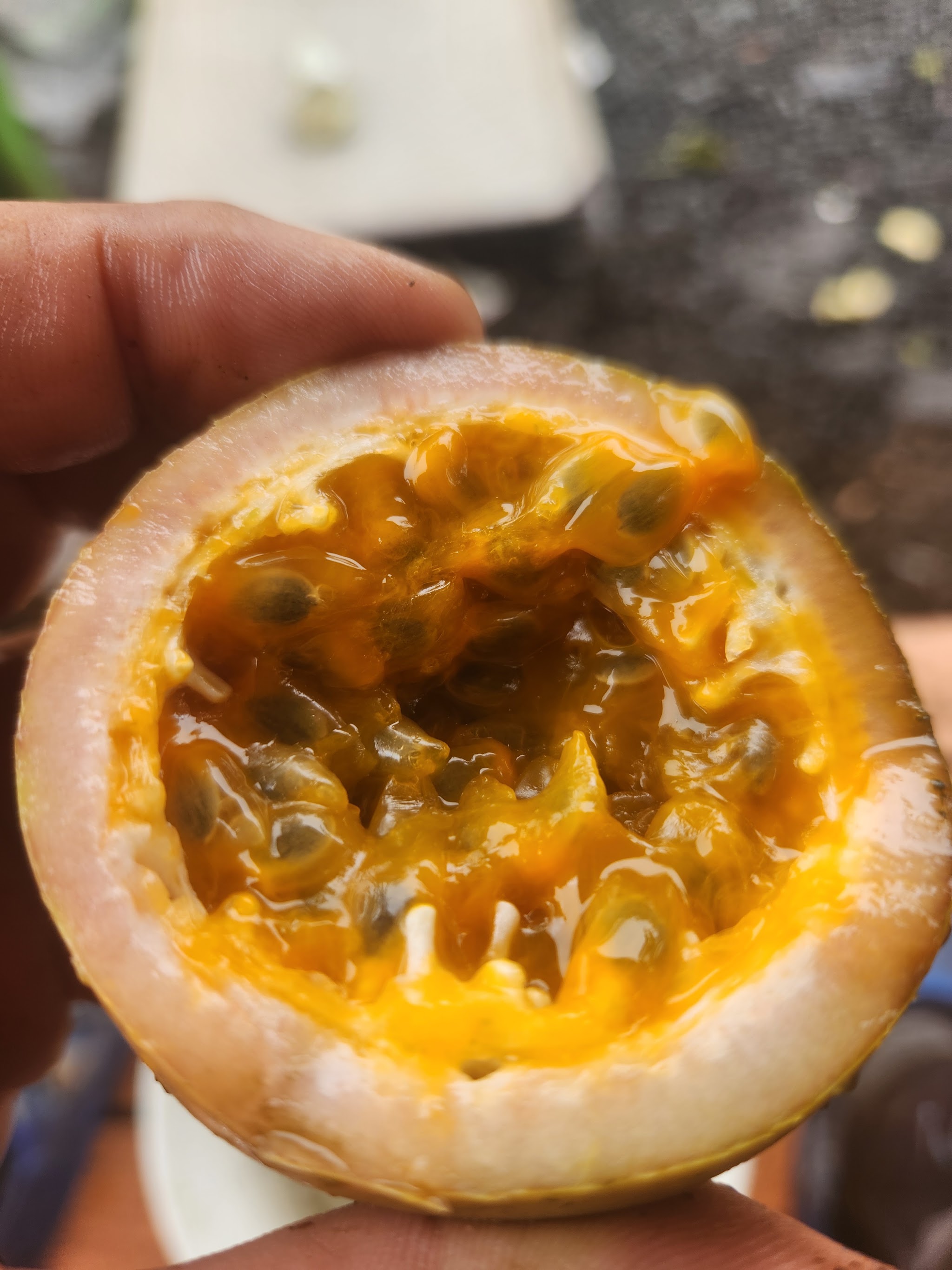 Close-up of a cut lilikoi, seeds and golden pulp